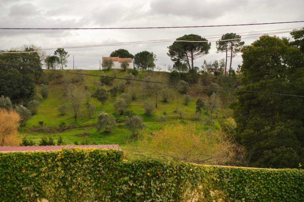 Soure Quintinha Do Outeirinho B&B 외부 사진