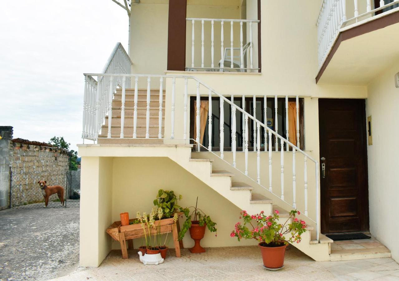 Soure Quintinha Do Outeirinho B&B 외부 사진